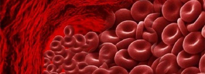 Продукти підвищують гемоглобін у крові - список дозволеної їжею для дітей та вагітних