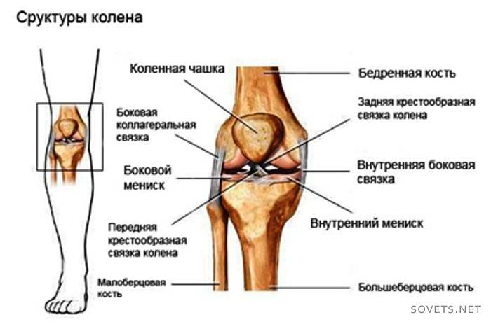 Гемартроз колінного суглоба: симптоми та реабілітація