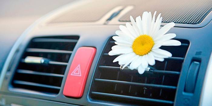 Як позбавитися від запаху в салоні автомобіля - огляд ефективних способів з описом