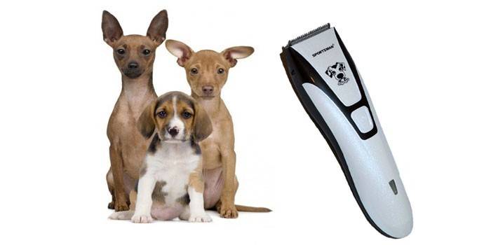 Тример для собак - як вибрати відповідний інструмент за типом і призначенням