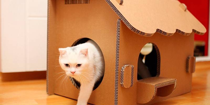 Будиночок для кішки своїми руками - інструкція