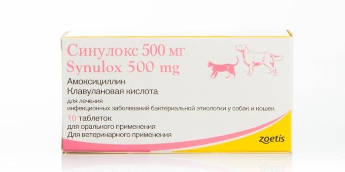 Синулокс для собак у таблетках і уколах - свідчення, механізм дії, протипоказання та відгуки