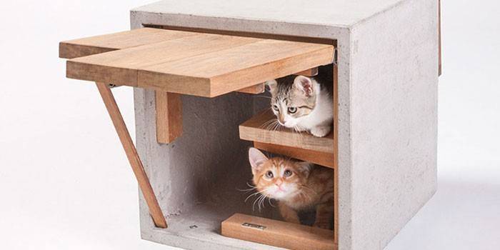 Будиночок для кішки - як вибрати кошеня чи дорослої тварини, рейтинг кращих виробів з описом