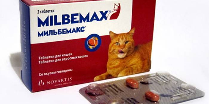 Мильбемакс для кішок - інструкція таблетки від глистів, склад і дозування, аналоги Milbemax та відгуки