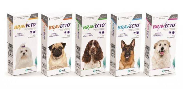 Бравекто для собак - як давати таблетки, принцип дії, побічні дії, аналоги та відгуки