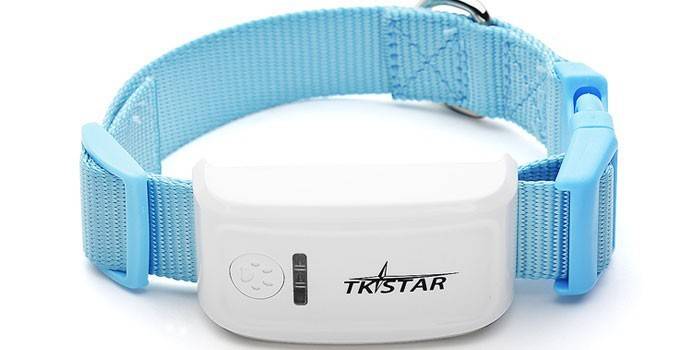 GPS-нашийник з трекером і навігатором для спостереження за кішкою або собакою через телефон або інтернет