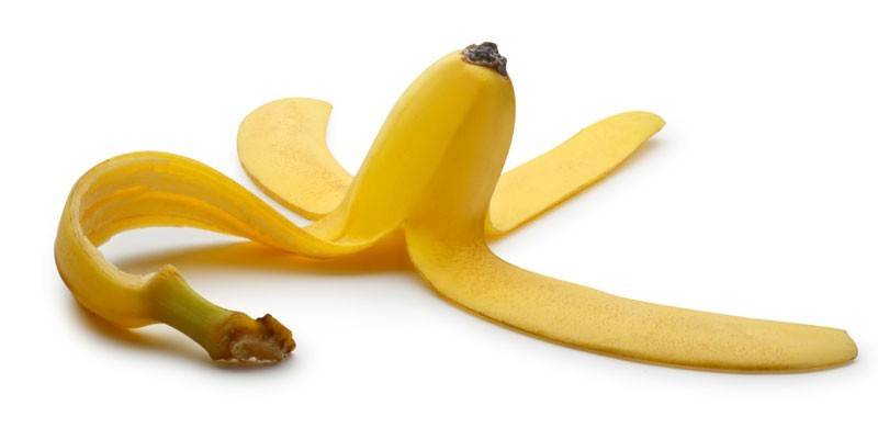 Бананова шкірка як добриво: як зробити і використовувати, відгуки