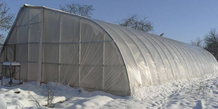 Зимова теплиця - проекти для вирощування овочів і квітів