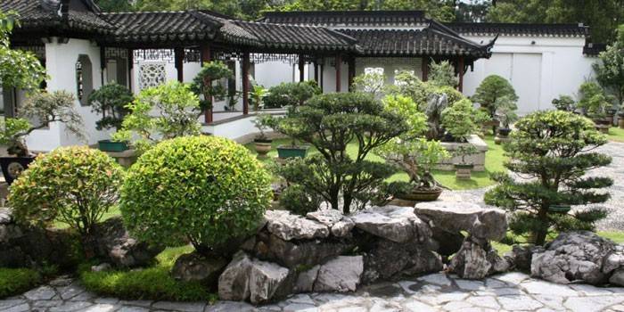 Японський сад - ландшафтний дизайн своїми руками з каміння або рослин з фото