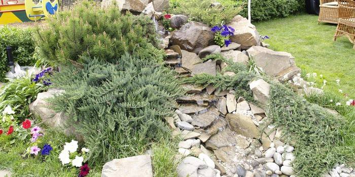 Як зробити альпійську гірку - красиву композиції з каменів і рослин