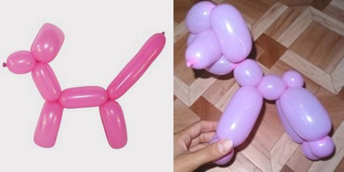 Як з кульки зробити собачку: поетапна схема скручування ковбасок