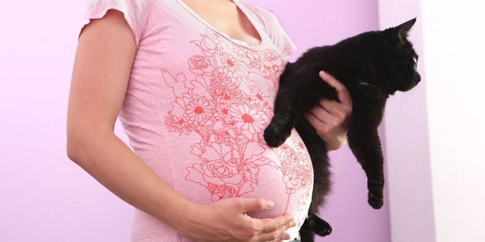 Глисти при вагітності - лікування таблетками і народними засобами