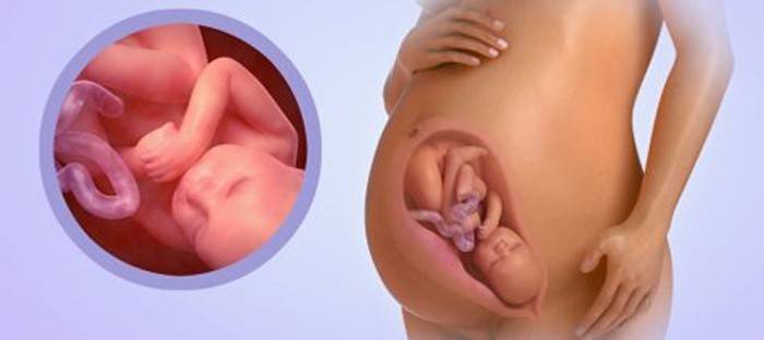41 тиждень вагітності: що відбувається з дитиною і жінкою