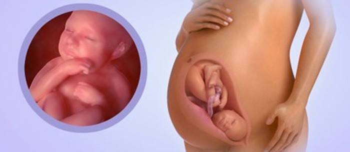 39 тиждень вагітності: болить і тягне низ живота, провісники пологів