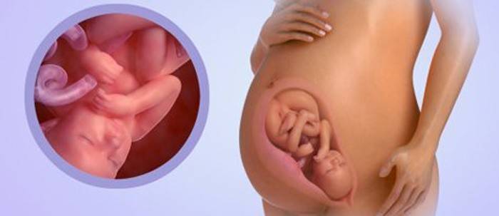 38 тиждень вагітності: що відбувається з мамою і малюком