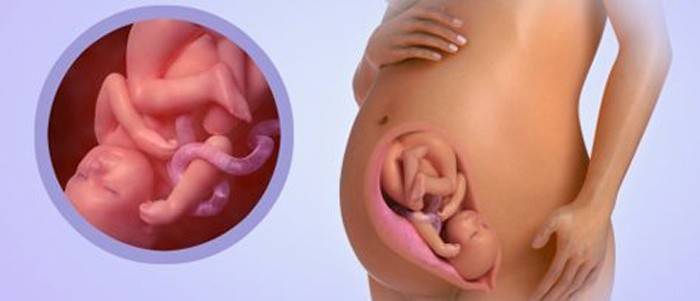 36 тиждень вагітності: болить і тягне низ живота, провісники пологів