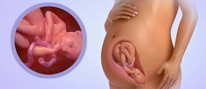 35 тиждень вагітності: розвиток дитини і відчуття жінки