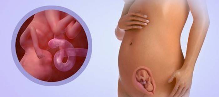 18 тиждень вагітності: що відбувається з мамою і малюком, ворушіння і відчуття