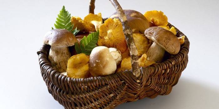 Ознаки отруєння грибами - через скільки вони наступають, прояв симптомів