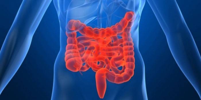 Дієта при болях в області кишечника - раціон харчування при захворюваннях товстої кишки