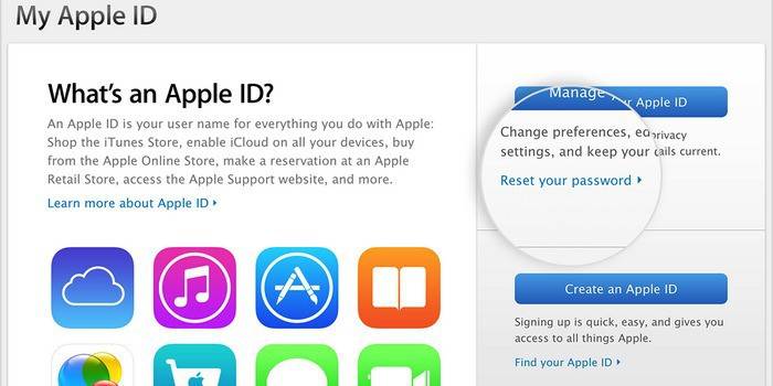 Відновити пароль apple id - способи скинути старий або дізнатися в техпідтримку і по електронній пошті
