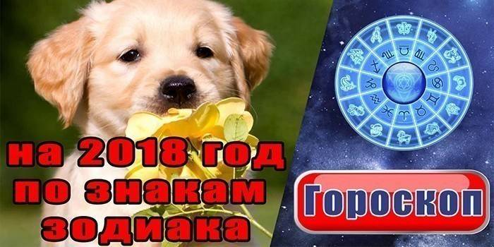 Гороскоп на 2018 рік за знаками зодіаку - що обіцяє Земляна собака