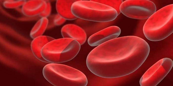 Підвищений гемоглобін в аналізі крові - що означає, ознаки, лікування і наслідки
