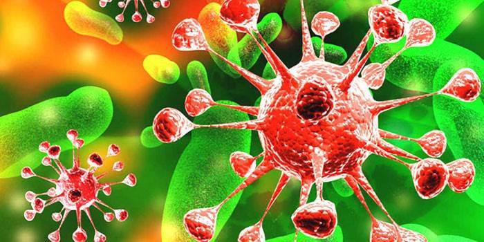 Ротавірусна інфекція - як передається та інкубаційний період, ознаки і як лікувати в домашніх умовах
