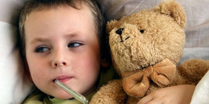 Токсоплазмоз у дітей: симптоми і лікування захворювання