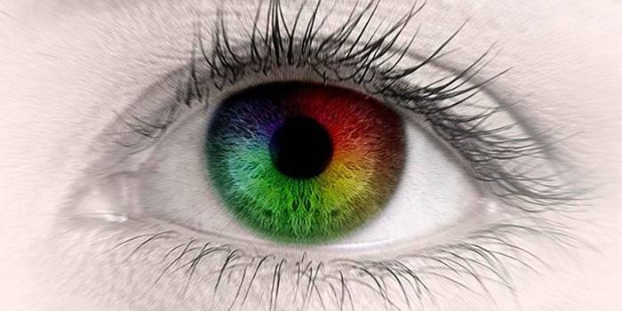 Як дальтоніки бачать - які кольори і відтінки не розрізняють або плутають люди з аномалією