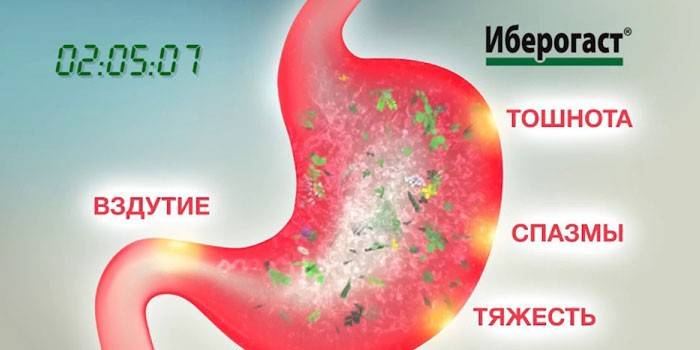 Иберогаст - застосування: склад, ціна та аналоги ліків, відгуки про прийом