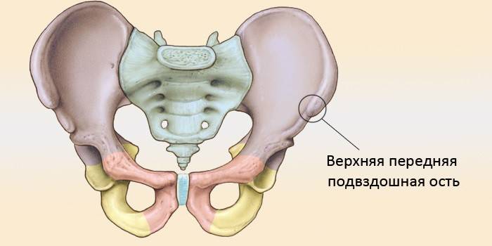 Клубова кістка - анатомія, розташування, чому болить зліва або справа, засоби лікування