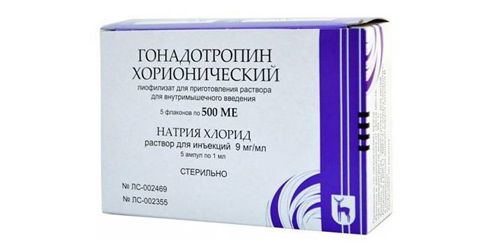 Гонадотропін хоріонічний - склад і форма випуску, як приймати при вагітності і занятті спортом