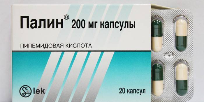 Палін – інструкція щодо застосування антибіотика, форма випуску, діюча речовина та протипоказання