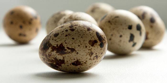 Як варити яйця перепелині правильно - скільки хвилин некруто або круто після закипання води