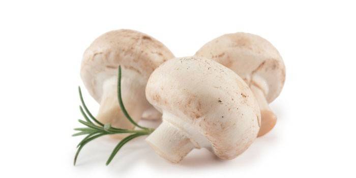 Як варити гриби правильно - скільки часу готувати свіжі, заморожені або сушені