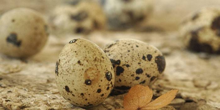 Скільки варити яйця курячі або перепелині після закипання води яйця в мішечок і некруто