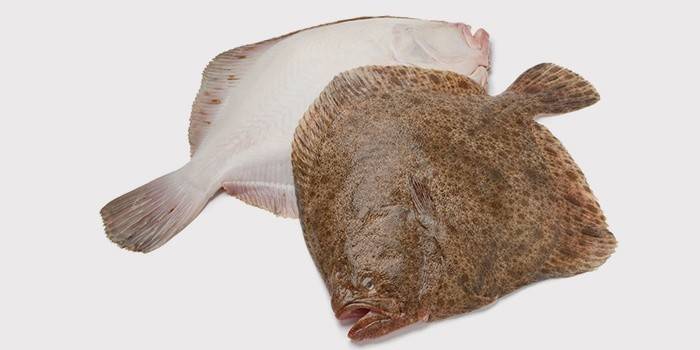 Камбала в духовці: рецепти приготування смачної риби у фользі
