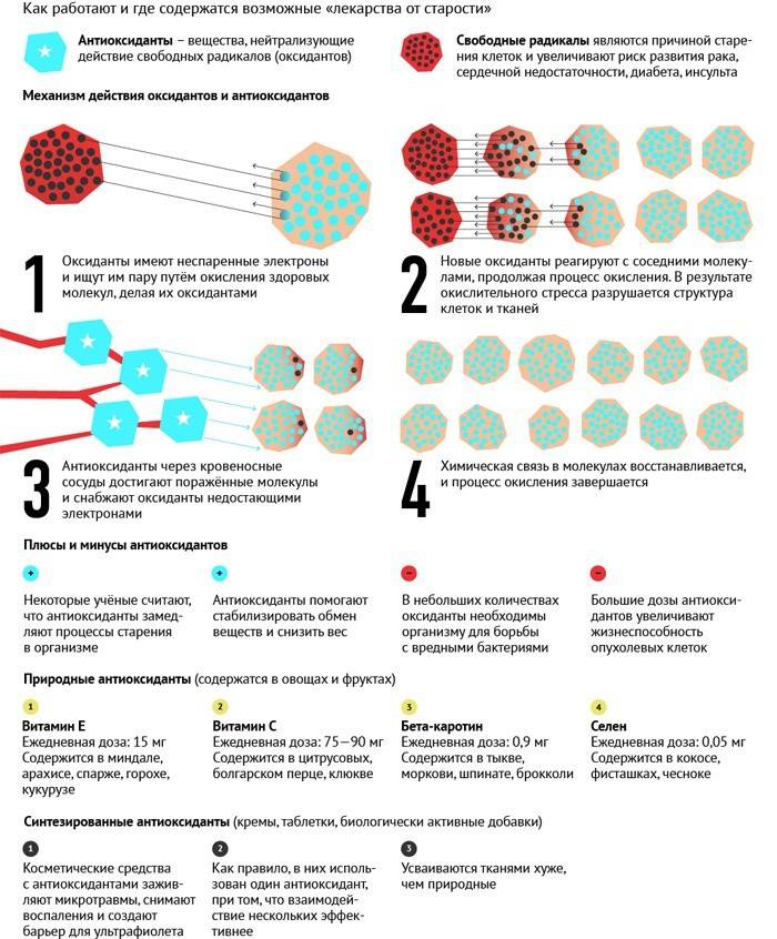 Кращі антиоксиданти в природних продуктах, вітамінах і препаратах