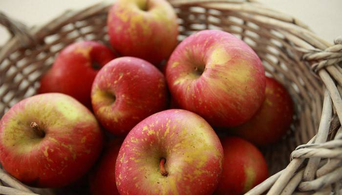 Яблучна дієта: варіанти раціону харчування та меню, відгуки про результати
